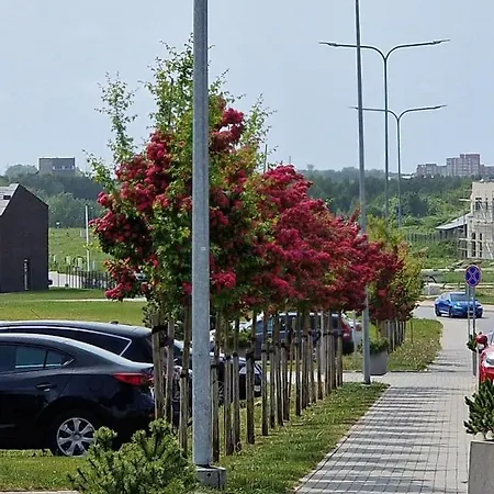 Apartamentai Ragaines Self Chec-in Free Parking Apartament