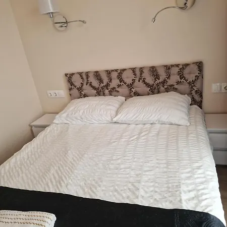 Apartamentai Ragaines Self Chec-in Free Parking Apartman