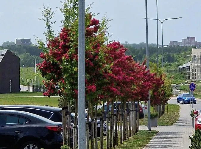 Apartamentai Ragaines Self Chec-in Free Parking Апартаменты